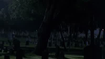 Buffy? Parker? Stay down. - Buffy the Vampire Slayer