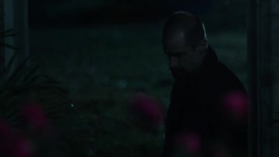 (bug zapper crackling) - Queen of the South