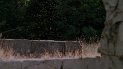 (bugle) - Stargate SG-1