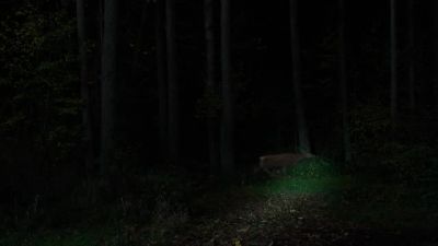 Buh-bye, Bambi. - Grimm