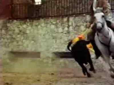 (bull grunting) - High Risk