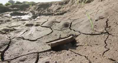 Bullfrog will dig down to spend
the next months deep below ground. - The Elephant Queen