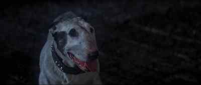 Bull's-eye! - Oliver!