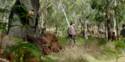 BUMPHER: Colonel Fitzhubert's
been kind enough - Picnic at Hanging Rock