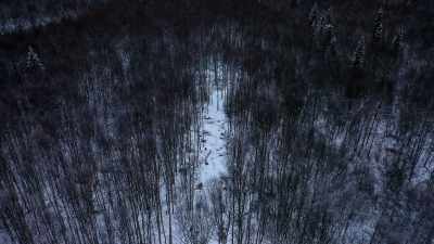 Bumpy trail, barely a
trail, six inches of snow, - Life Below Zero: Next Generation