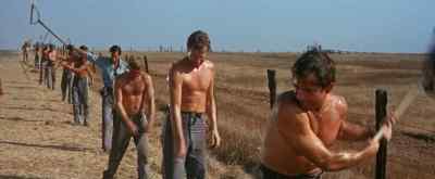 Bunch. Must be half a dozen new-meat. - Cool Hand Luke