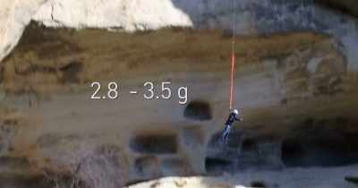 Bungee jumping, 2.8 to 3.5 Gs. - White Rabbit Project