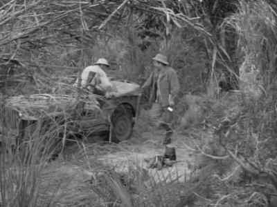 Burger won't like that. - Tarzan's Hidden Jungle