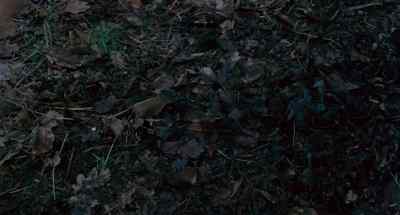 Burke! Come, help, help me! - Cry of the Banshee