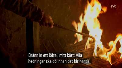 Burn this promise into my flesh, Doctor, - Jamestown