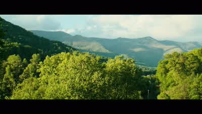 Burn victim. - Three Billboards Outside Ebbing, Missouri