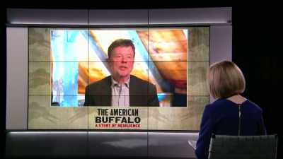 BURNS: Well, you know, I
think it's been there, Judy, - The American Buffalo