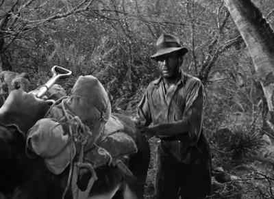 Burro. - The Treasure of the Sierra Madre
