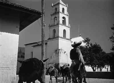 Burros ...burros. - The Treasure of the Sierra Madre