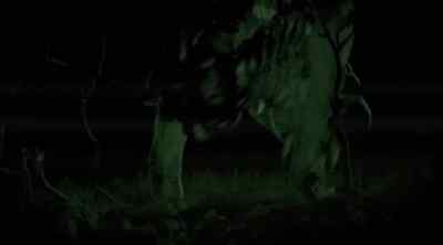 BURT: Gotcha. - Tremors 5: Bloodlines