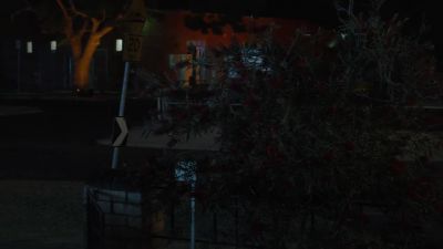 [bushes rustling] - Wentworth