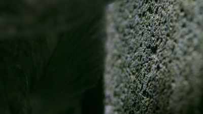 But 18 days later, - Seven Worlds, One Planet