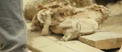 But a cat that's absolutely massive
like this? - Secrets of the Saqqara Tomb