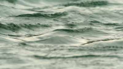 But a fast-flowing, icy river
stands between him - Wild Babies