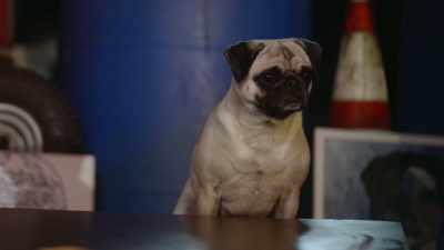 But as a group,
if we work together, - Junkyard Dogs