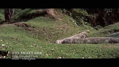 But a lot of it - Woodlands Dark and Days Bewitched: A History of Folk Horror
