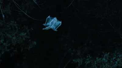 But a recent discovery has exposed
an even more spectacular hidden talent. - Super/Natural