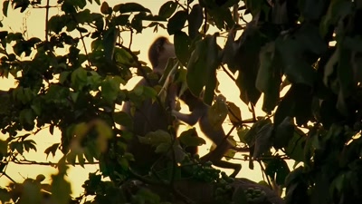 'But all a mum can do
is take it one day at a time. - A Year on Planet Earth
