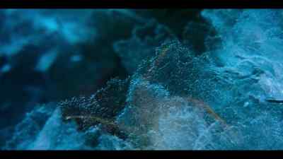 But all that danger
presents a risky opportunity - Our Oceans