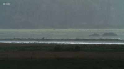 But all I can do is wait
until the storm finishes - Wild Isles