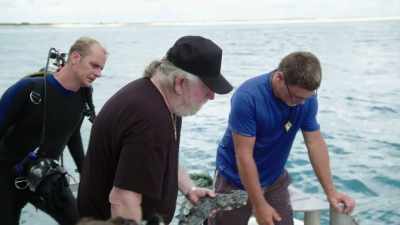 But they all look
like they could - Beyond Oak Island