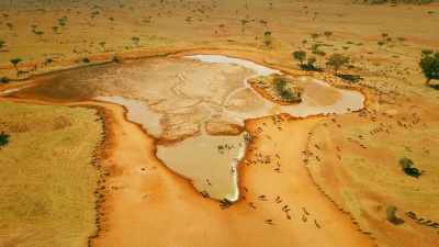 But all of us face
a far bigger problem. - Serengeti