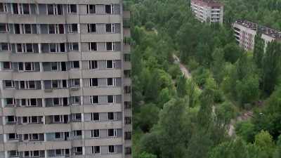 But it also appears
full of life. - Chernobyl: The Invisible Enemy