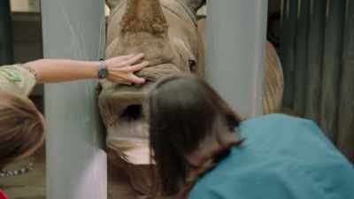 But we also have keeper staff
that really know the animals well - One Day at Disney