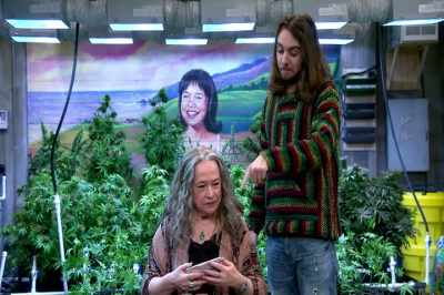 But also hemp as in... hemp, - Disjointed