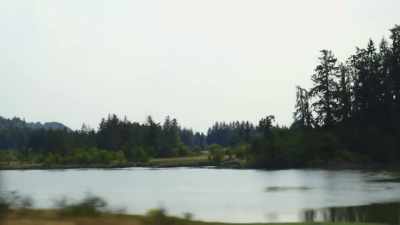 But also something that
really stuck out to me
was this photograph - Expedition Bigfoot