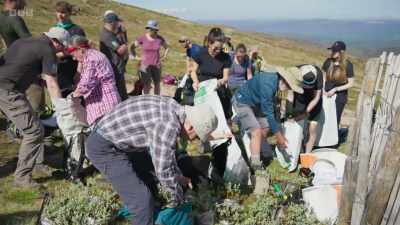 But an ambitious new restoration
project aims to change that. - Wild Isles