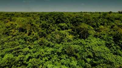 BUT, AS WE PUSH DEEPER,
I FIND A SIGN THAT - Expedition Mungo