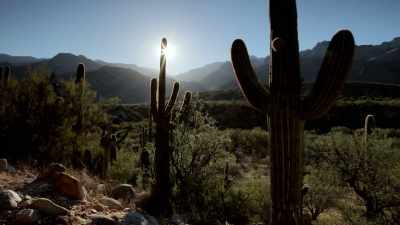 But aside
from the boring‐ass penguins, - When Nature Calls with Helen Mirren