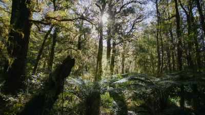 But aside
from the boring‐ass penguins, - When Nature Calls with Helen Mirren