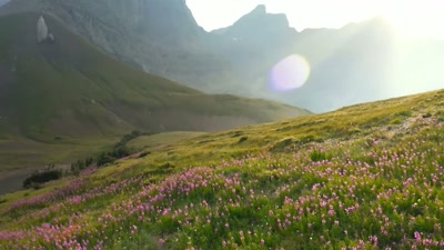 But at 2,000 metres, - A Year on Planet Earth