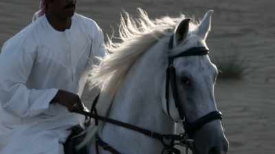 BUT AT FIRST,
HORSES WERE NOT THE - Origins: The Journey of Humankind