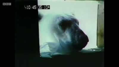 But at that very moment,
something was revealed - Can't Get You Out of My Head