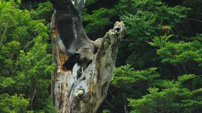 But attempting a first flight from here
would be extremely risky. - Our Great National Parks