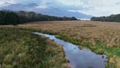 But as autumn approaches, - Wild Isles