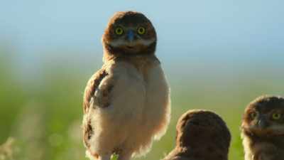 But being inquisitive can be a lifesaver. - Super/Natural