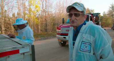-But blueberries prices
are down, - The Pollinators