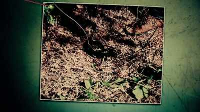 But by sunset, it was
apparent this was the work - World's Most Evil Killers