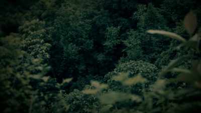 BUT BY THE TIME THEY GOT THERE, - Expedition Mungo