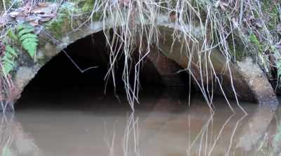 But this can cause confusion
and problems down the line. - Sewer Divers