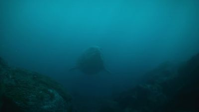But so can the mosasaur. - Prehistoric Planet
